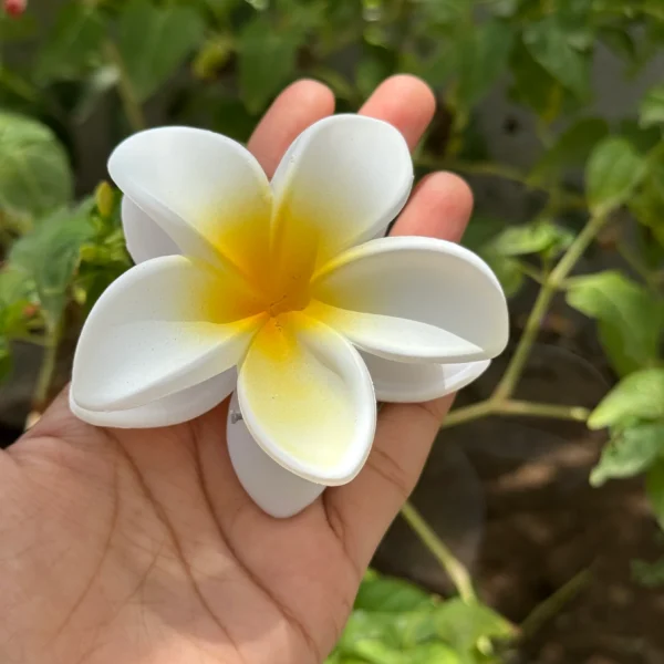 Trending Matte Floral