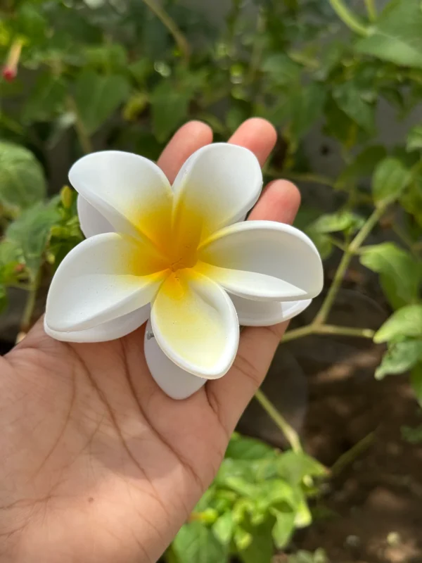 Trending Matte Floral